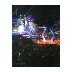 Taylorswift.com Taylor Swift Collectible 2018 Official Reputation Concert Photos Stadium Tour Book