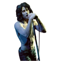 Doors, The The Doors Collectible: 2001 McFarlane Spawn Lizard King Jim Morrison 7" Figure (C2) 14 Doors, The The Doors Collectible: 2001 McFarlane Spawn Lizard King Jim Morrison 7