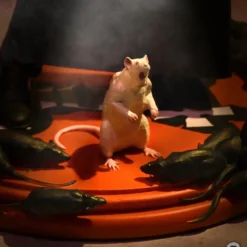 Ghost Collectible 2021 KnuckleBonz Cardinal Copia Variants (Bundle Of 2) Rock Iconz Statue Set 29 Ghost Collectible 2021 KnuckleBonz Cardinal Copia Variants (Bundle Of 2) Rock Iconz Statue Set