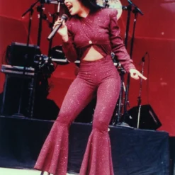 Selena Collectible 2021 Handpicked Funko Pop Rocks #205 Burgundy Outfit Glitter Figure In Protector